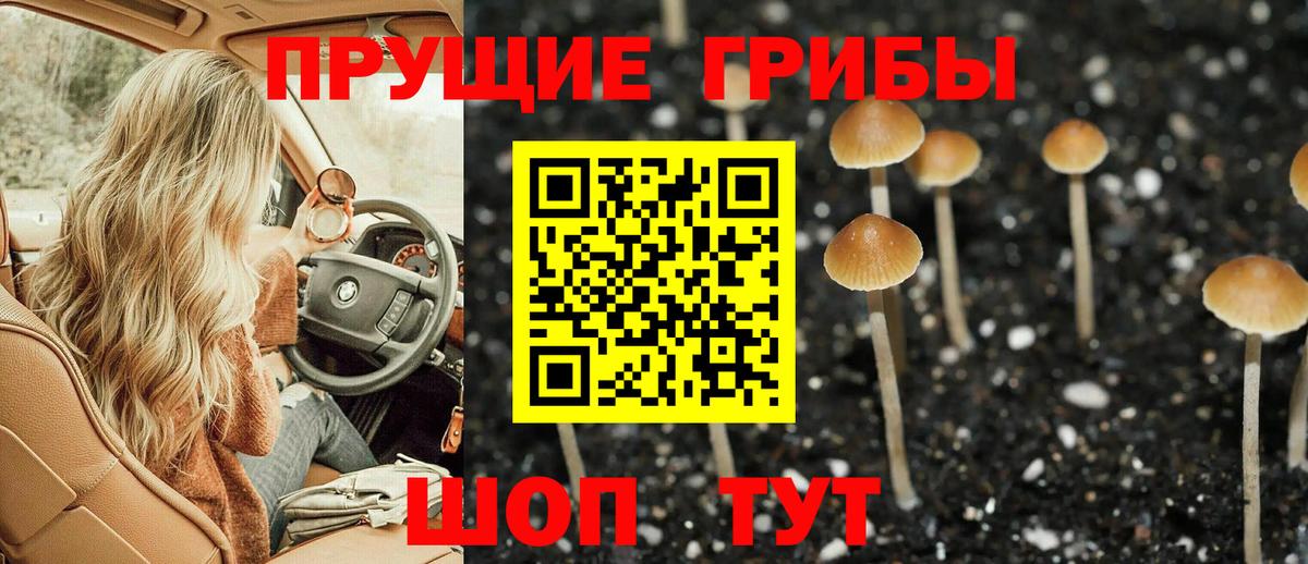 Псилоцибиновые грибы Psilocybe  Вход с VPN  Волжск 